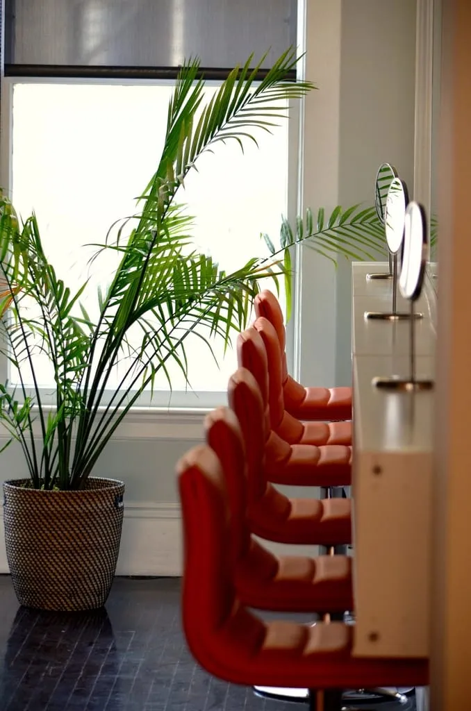 Interior del estudio con sillones rojos y plantas